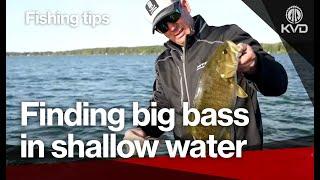 How to find big bass in shallow water in the fall