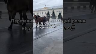 Перегон лошадей на зимовку! Кони бегут по городу!#equestrain #horse #советские_тяжеловозы  #лошади