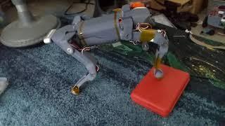 drop reaction test
