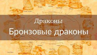 Драконы | Бронзовые драконы