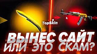  TOPSKIN ВЫНЕС САЙТ ИЛИ ОН ПРОДОЛЖАЕТ СКАМИТЬ?!