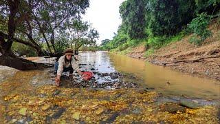 Amazing mining day! Pick many fools Gold and Gemstone during flooding river/gold girl