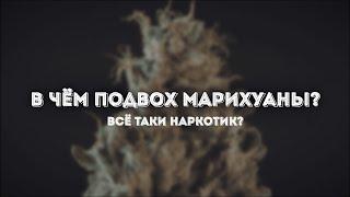 МАРИХУАНА: плюсы, минусы и подводные камни. Всё, что нужно знать о КАННАБИСЕ!