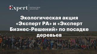 Сотрудники «Эксперт РА» и «Эксперт Бизнес-Решений» посадили 4000 дубов