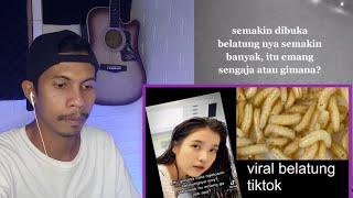 Belatung Viral Tiktok