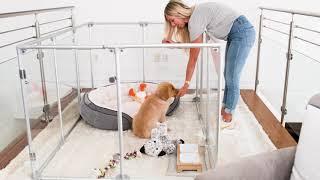 Modern Lucidium Dog Pens | Features of Your Pet's PENthouse | Clearly Loved Pets