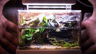 Mini Complete Waterfall Paludarium