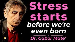 Is Our Culture Making Us Sick? #gabormate #toxicculture #childhoodtrauma