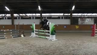 Quali Oldenburg 2017 L-Springen Annemarie (Team Kassel)