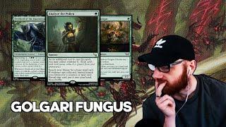 DON'T DISRESPECT SHELLY RAMP! | Golgari Fungus | Duskmourn Standard Bo3 | Mythic Rank | MTG Arena