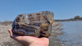 A PHENOMENAL Way to End The Season! Dark Montana Agates, Agatized Wood, A Rainbow of Jasper, & More!