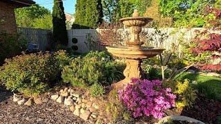 Early May Walkabout & Garden Tour
