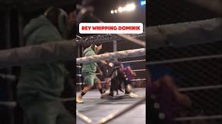 Rey Mysterio Whipped Dominik at WWE Live Event