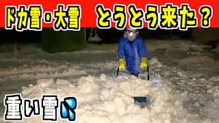 【早朝除雪】2024-12-24 きたぞ〜！多分、ドカ雪・大雪！パパさんダンプ　snow removal