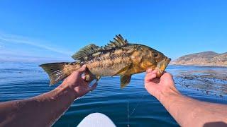 Perfect Day Fishing Malibu/Marina Del Ray!