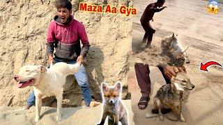 Insurance Gabbar Badmash Ky Sath Shikar Kiya