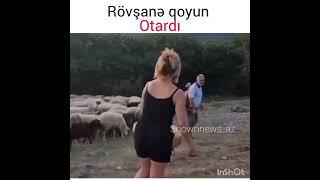 Rövşanə qoyun otardı