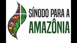 Sobre o Sínodo da Amazônia - Prof. Marcelo Andrade