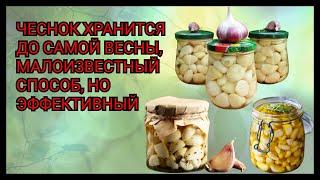 Чеснок высыхает и быстро портится? Малоизвестный способ хранения чеснока в квартире