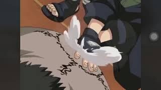 Kakashi kuchiyose Pakkun