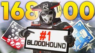 Meet The #1 Bloodhound In Apex Legends (168,000+ Kills)