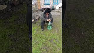 Дед Мазай на связи