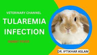 Tularemia Infection In Humans and Farm Animals