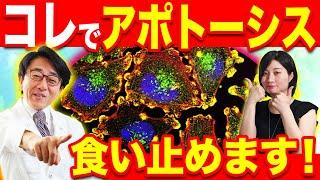 【医師解説】全身の細胞を守って長生きするためにできることはコレです！