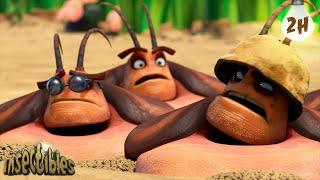 Roach Boot Camp! 🪖|  Antiks & Insectibles  | Funny Cartoons for Kids | Moonbug