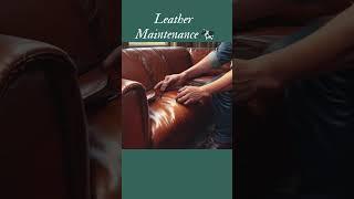 Furniture Care & Cleaning Guide ️