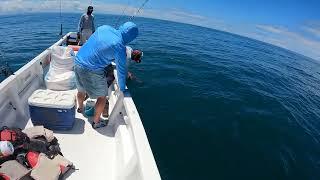 Nathan catches his Cubera Snapper in Los Buzos with Adam Fisk