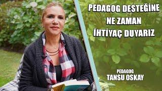 Pedagog Desteği Hangi Durumlarda Gerekli? | Tansu Oskay