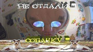 не отдали собачку,выгнали с сообщиства!!!!(ПОЗИТИВ ВСЕЛЕННОЙ)