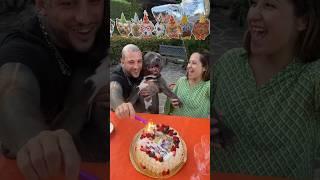 This Pitbull Found a Loving Family 