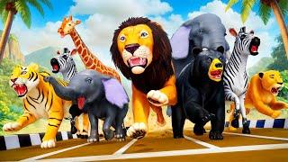 Wild Animals Running Race  - The Ultimate Speed Challenge in the Animal Kingdom!