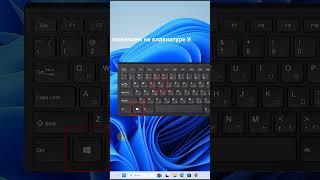Как в Windows 10 и 11 показать скрытые папки  #windows #лайфхаки #компьютер