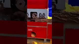 Massive Saw Machine Turns Logs into Perfect Planks  | Satisfying Wood Cutting Process #shorts