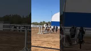 before competition  #horse #equestrian #horses #pony #edit #jumping #riding #horsejumping