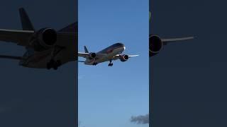 Royal Jordanian Boeing 787-8 Dreamliner  #boeing #aviation #planespotting