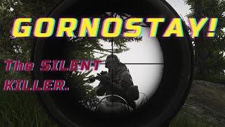 Gornostay VPO-215  - Why I play it And You should Too!