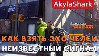 [АРХИВ] Как взять эхо в Челси / Неизвестный сигнал в Tom Clancy's The Division