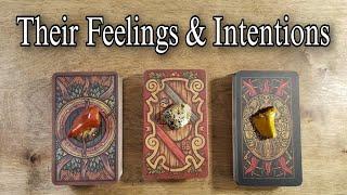 Their Current Feelings & Intentions  Pick A Card Reading