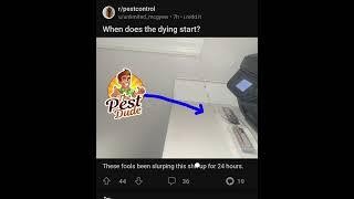The Pest Dude Explains Ant Bait Failure (And Success)