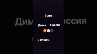 Бибика поехали котатьсо