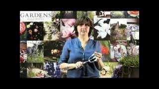 Gardens Illustrated Magazine's Special Subscription Offer