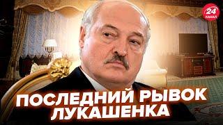 Лукашенко УВІРВАВСЯ з ШОКУЮЧОЮ заявою про війну в Україні. ПЕРЕГОВОРИ Трампа з Путіним