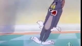 Мышонок Таффи Нибблз из мультфильма Том и Джерри Tom & Jerry