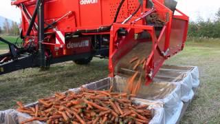 Carrot harvester DEWULF GBC with John Deere 5820 tractor - Andershornstein AB Sweden