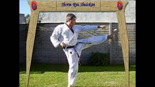 SERIE PIÑAN Y CIRCULARES- SENSEI JORGE GARZÓN- SHORIN RYU SHIDOKAN