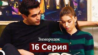 Зимородок 16 Cерия (Русский дубляж)